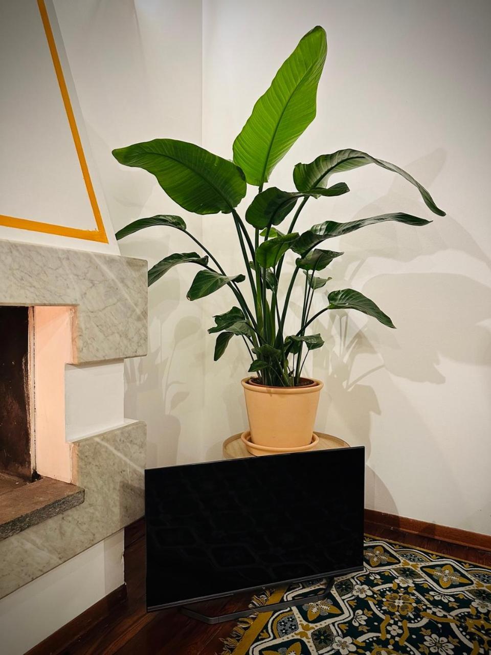 Wow House In Torino公寓 外观 照片